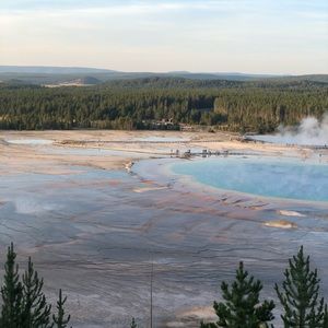 Meet your Posher, Gabby